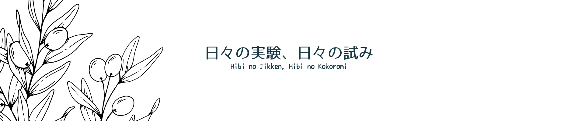 日々の実験、日々の試み